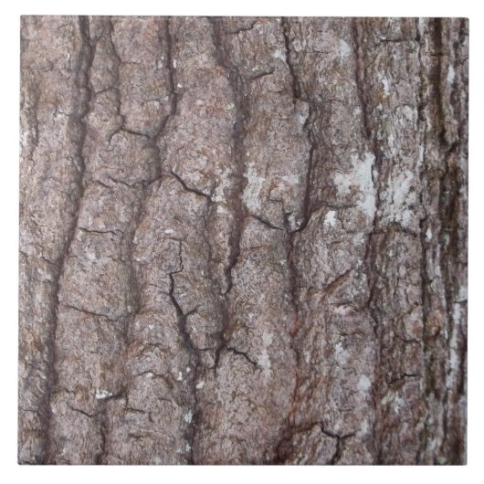 Sourwood Bark Tegeltje (Voorkant)