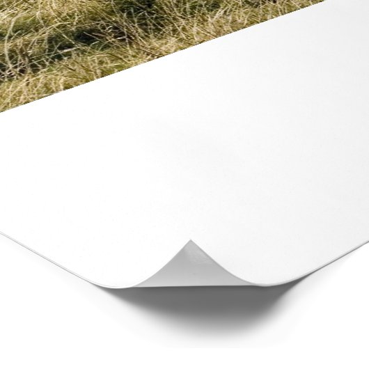 Souter Lighthouse Print (Hoek)