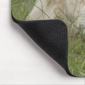 South Africa, East London, Inkwenkwezi Private Muismat (Hoek)