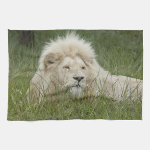 South Africa, East London, Inkwenkwezi Private Theedoek