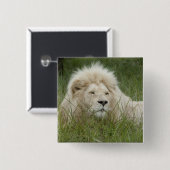 South Africa, East London, Inkwenkwezi Private Vierkante Button 5,1 Cm (Voorkant /achterkant)