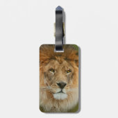 South Africa Majestic Lion Sluiten Bagagelabel (Achterkant verticaal)
