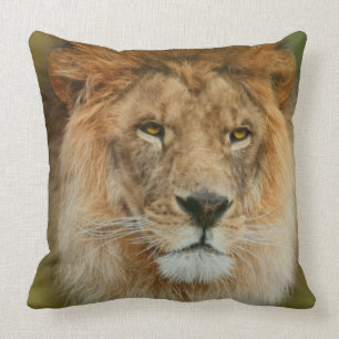 South Africa Majestic Lion Sluiten Kussen