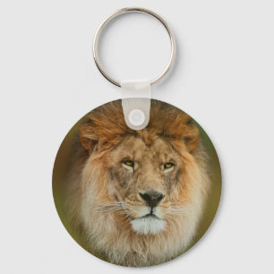 South Africa Majestic Lion Sluiten Sleutelhanger