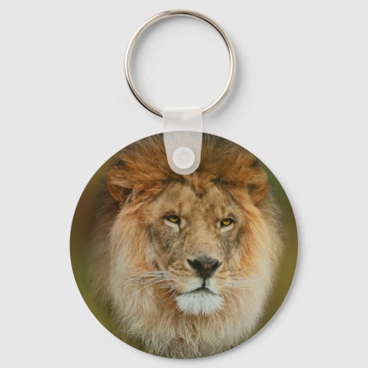 South Africa Majestic Lion Sluiten Sleutelhanger (Voorkant)