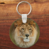 South Africa Majestic Lion Sluiten Sleutelhanger (Voorkant)