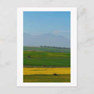 South Africa Rural Canola Landscape Mountains SA. Briefkaart