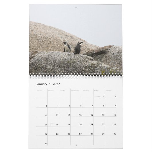 South African Safari Calendar Kalender (Jan 2027)