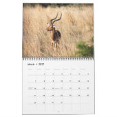 South African Safari Calendar Kalender (Mar 2027)