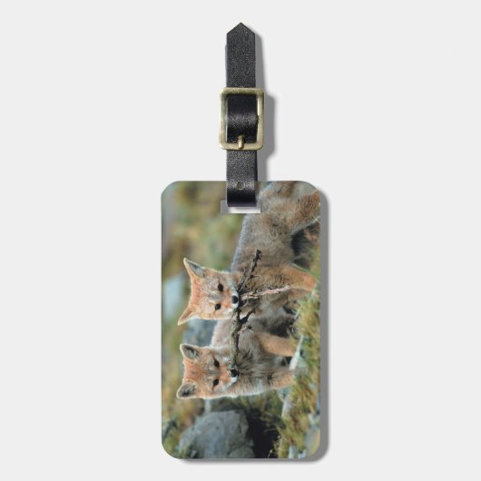 South America, Chile, Torres del Paine National Bagagelabel (Voorkant verticaal)