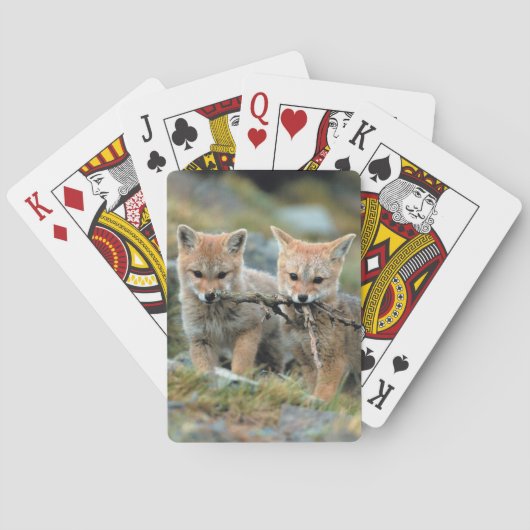 South America, Chile, Torres del Paine National Speelkaarten (Achterkant)