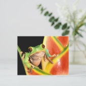 South America, Ecuador, Amazon. Tree frog Briefkaart (Staand voorkant)