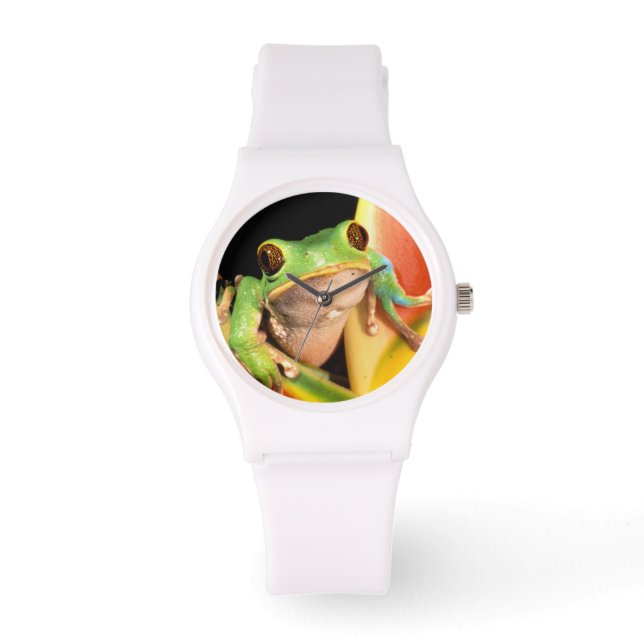 South America, Ecuador, Amazon. Tree frog Horloge (Voorkant)
