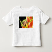 South America, Ecuador, Amazon. Tree frog Kinder Shirts (Voorkant)