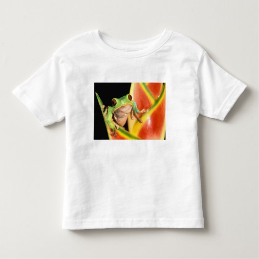 South America, Ecuador, Amazon. Tree frog Kinder Shirts (Voorkant)