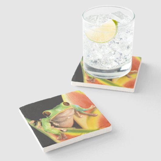 South America, Ecuador, Amazon. Tree frog Stenen Onderzetter (Zijkant)