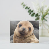 South America, Ecuador, Galapagos Islands Briefkaart (Staand voorkant)