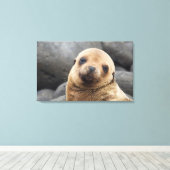 South America, Ecuador, Galapagos Islands Canvas Afdruk (Insitu (Houten vloer))