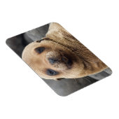 South America, Ecuador, Galapagos Islands Magneet (Rechterzijde)