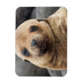 South America, Ecuador, Galapagos Islands Magneet (Verticaal)