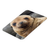 South America, Ecuador, Galapagos Islands Magneet (Linkerzijde)