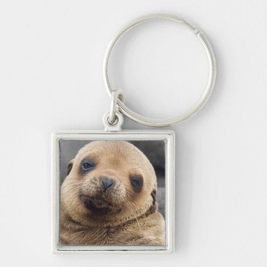 South America, Ecuador, Galapagos Islands Sleutelhanger (Voorkant)