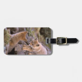 South American Gray Fox (Lycalopex griseus) pair Bagagelabel (Voorkant horizontaal)