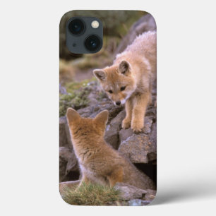 South American Gray Fox (Lycalopex griseus) pair iPhone 13 Hoesje
