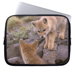 South American Gray Fox (Lycalopex griseus) pair Laptop Sleeve