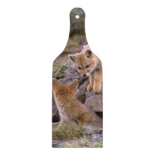 South American Gray Fox (Lycalopex griseus) pair Snijplank (Voorkant)