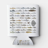 South Asia Freshwater Fish Group Blikjeskoeler (Achterkant)