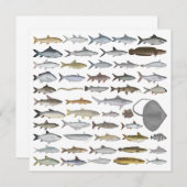 South Asia Freshwater Fish Group Notitiekaartje (Voorkant / Achterkant)