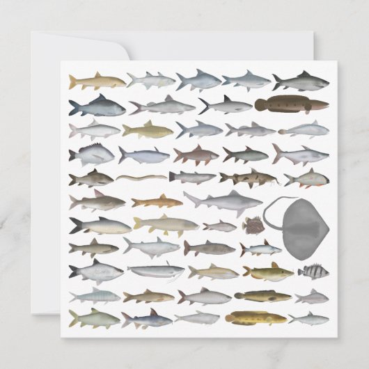 South Asia Freshwater Fish Group Notitiekaartje (Voorkant)