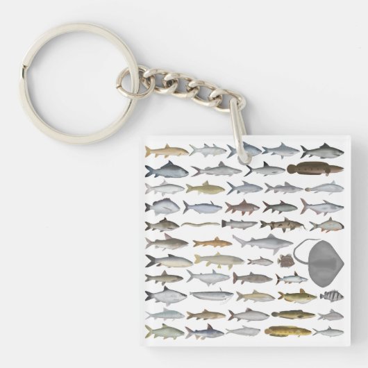 South Asia Freshwater Fish Group Sleutelhanger (Voorkant)