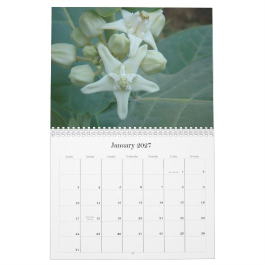 South Asian Flowers Calendar Kalender (Jan 2027)