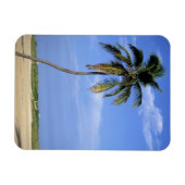 South Beach, Miami Beach, Florida, VS Magneet (Horizontaal)