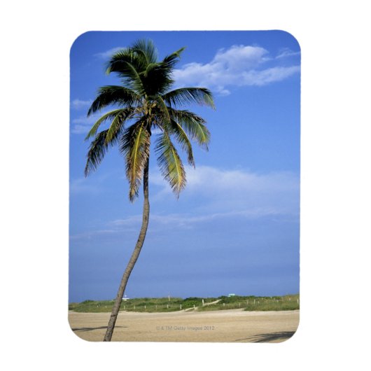 South Beach, Miami Beach, Florida, VS Magneet (Verticaal)