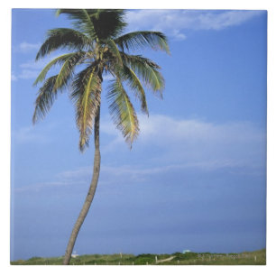 South Beach, Miami Beach, Florida, VS Tegeltje