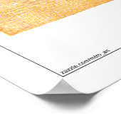 South Beach Miami Beach Poster (Hoek)