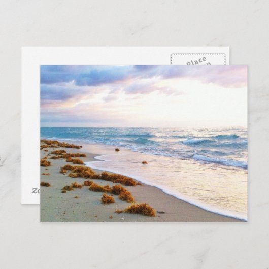 South Beach Miami Briefkaart (Voorkant / Achterkant)