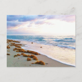 South Beach Miami Briefkaart