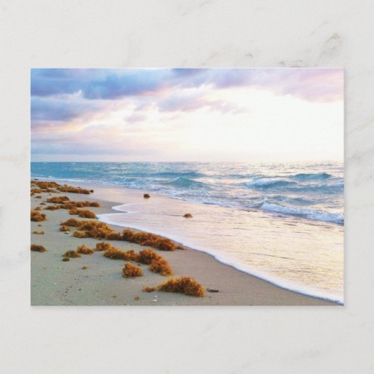 South Beach Miami Briefkaart (Voorkant)