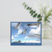 South Beach Miami Florida Seagulls Briefkaart (Staand voorkant)