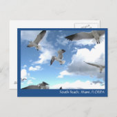 South Beach Miami Florida Seagulls Briefkaart (Voorkant / Achterkant)