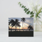 South Beach, Miami Palm Trees op Sunset Briefkaart (Staand voorkant)