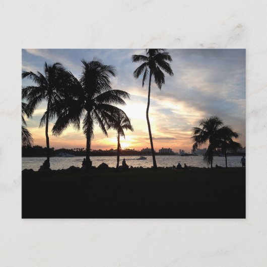 South Beach, Miami Palm Trees op Sunset Briefkaart (Voorkant)