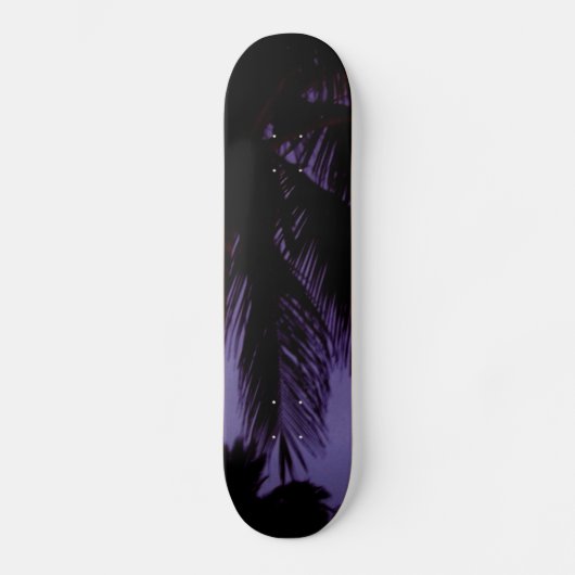 South Beach Miami Persoonlijk Skateboard (Voorkant)