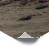 South Beach Poster (Hoek)