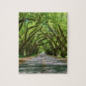 South Boundary Green Glow Legpuzzel (Verticaal)