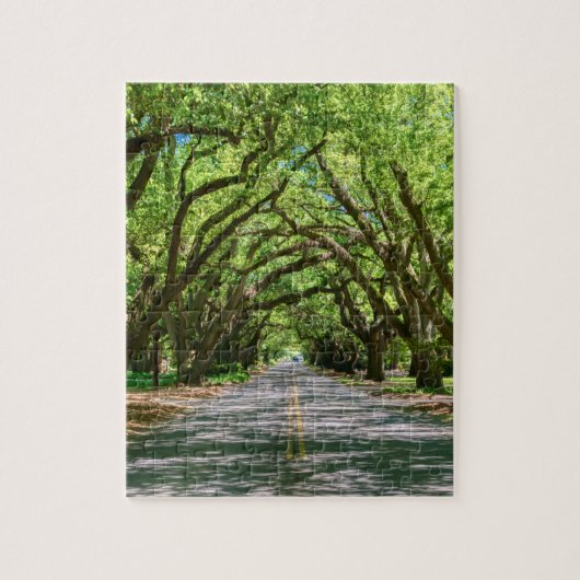 South Boundary Green Glow Legpuzzel (Verticaal)